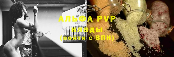 ГАЛЛЮЦИНОГЕННЫЕ ГРИБЫ Балахна