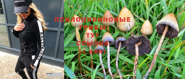 ГАЛЛЮЦИНОГЕННЫЕ ГРИБЫ Балахна