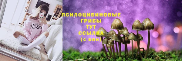 ГАЛЛЮЦИНОГЕННЫЕ ГРИБЫ Балахна
